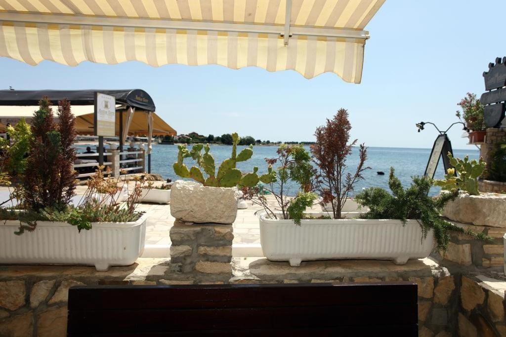 Sea View Apartment Umag 2 Екстер'єр фото